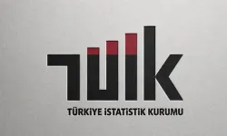 Türkiye'ye 393 bin 829 kişi göç etti