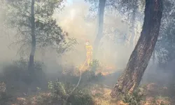 Çanakkale'de tarım arazisinde yangın!