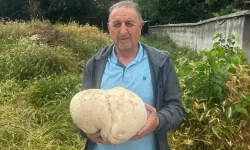 Bahçesinde 3,5 kiloluk mantar buldu