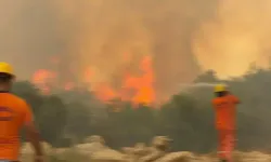 Antalya'da orman yangını!