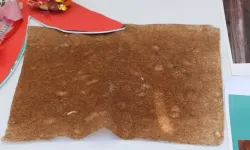 Hurma çekirdeğinden deri ürettiler