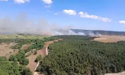 Çanakkale'de orman yangını