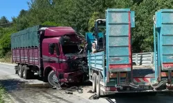 İki kamyonun çarpıştığı kazada sürücüler öldü, 1 yaralı!