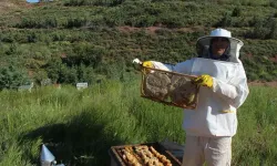 Balda verim arttı, arıcıların yüzü güldü