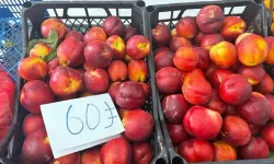 Bahçede 15 TL'ye satılan şeftali pazarda 60 TL