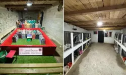 Artvin'de 'horoz dövüşü' operasyonu: 39 kişiye para cezası!