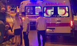 Otomobilin çarptığı Çek turist hayatını kaybetti