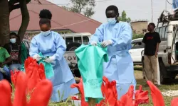 Ebola salgınında hayatını kaybedenlerin sayısı 304'e yükseldi