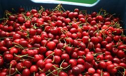 Ege kirazı tek yön Çin bileti almak üzere