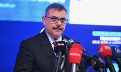 Sahipsiz sokak hayvanlarına ilişkin 2 belediye başkanına soruşturma!