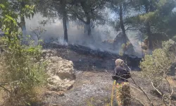 Kahramanmaraş’ta orman yangını: Havadan ve karadan müdahale ediliyor