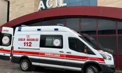Denizli'de yıldırım isabet eden çiftçi can verdi!