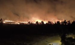 Korkutan görüntü! Yangın mayınlı alana ulaştı
