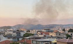 Seferihisar'daki yangın kontrol altında
