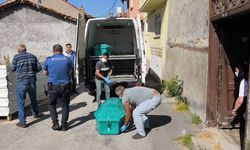 Komşu ihbarı dehşeti ortaya çıkardı: 15 gün ölü annesiyle yaşadı