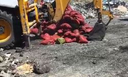 Manisa'da bozuk 4 ton midye imha edildi!