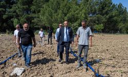 Bornova’da atıl topraklar hayat buluyor