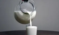 Süt skandalı: 9 ton bozuk süt ve süt ürünü ele geçirildi