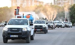 Manisa’da sivrisinek mesaisi: Büyükşehir sahada