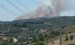 Çeşme’de korkutan yangın!