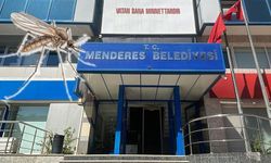 Sinek isyanına enteresan savunma: Önceliğimiz arılar!