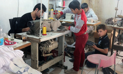 Çocuk işçiliğine karşı yol haritası: Denetim, sosyal destek ve eğitim vurgusu!