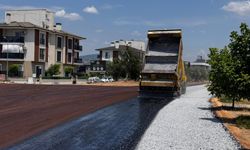 Aydın'ın tüm ilçelerinde çalışmalar tam gaz