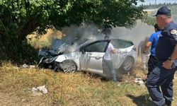 İzmir'de feci kaza: Son sürat ağaca çarptı!