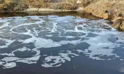 Gediz için ortak çağrı: Tugay’dan bakanlığa ‘izin’ tepkisi!