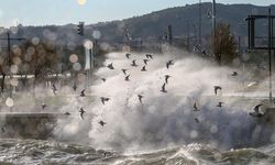 Meteoroloji'den İzmir için fırtına uyarısı!