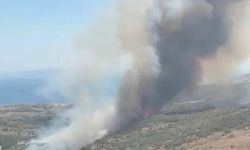 İzmir'de maki yangını