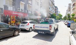 Konak’ta sivrisineklere karşı ilaçlama seferberliği!