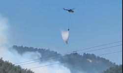 Manisa'da orman yangını
