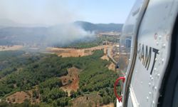 Muğla'da tarım arazisindeki yangın ormana sıçradı!
