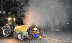 Manisa'da haşereye karşı 17 ilçede seferberlik