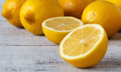 Limon ihracatında hedef 500 milyon dolar