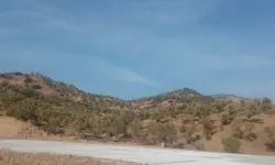JES kuşatması büyüyor: Zeytinliklerin ortasına izin çıktı!