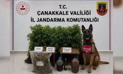 18 ilde uyuşturucu operasyonu; 59 tutuklama!