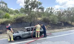 Otomobilde çıkan yangın yol kenarındaki ağaçlara sıçradı