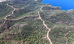 Muğla'da orman yangınlarına karşı denetimler artırıldı!