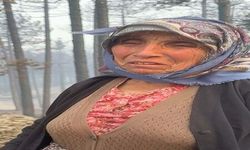 Orman yangınında kaybolan köpeği için gözyaşı döktü