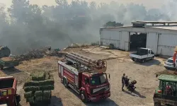 Altıeylül ve Karesi'de yangın!