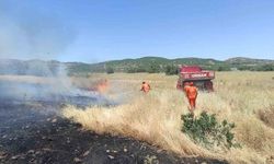 Bingöl'de çıkan yangında 100 dekarlık tarım arazisi zarar gördü