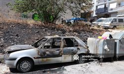 Yangın otluk alana sıçradı: 2 araçta hasar oluştu!