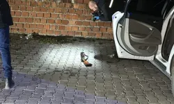 Kayınpeder tartıştığı damadını tüfekle yaraladı