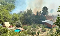 Kumluca'da orman yangını!