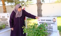 Teröristlerin katlettiği şehit Bedirhan bebek ve annesi anıldı!