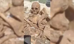 İnşaat kazısında insan kemikleri bulundu