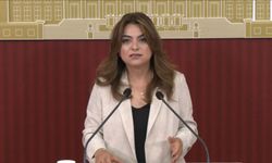 DEM Parti'den çerçeve yasa açıklaması!