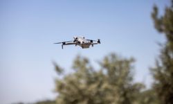 İzmir'de kaçak moloza dronlu denetim